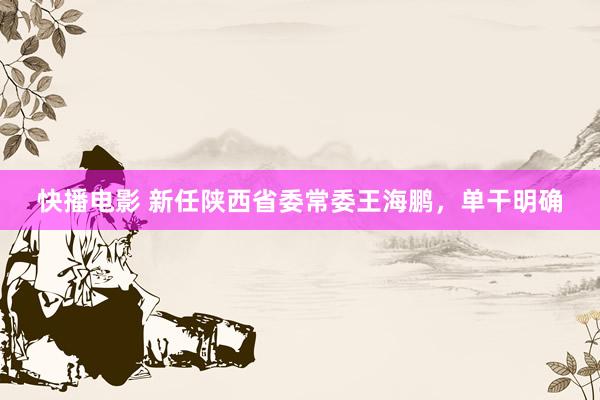 快播电影 新任陕西省委常委王海鹏，单干明确