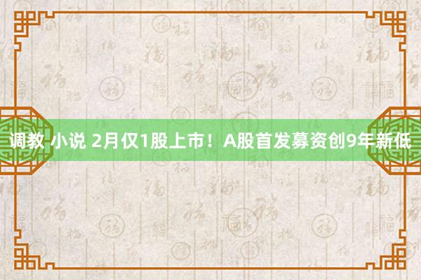 调教 小说 2月仅1股上市！A股首发募资创9年新低