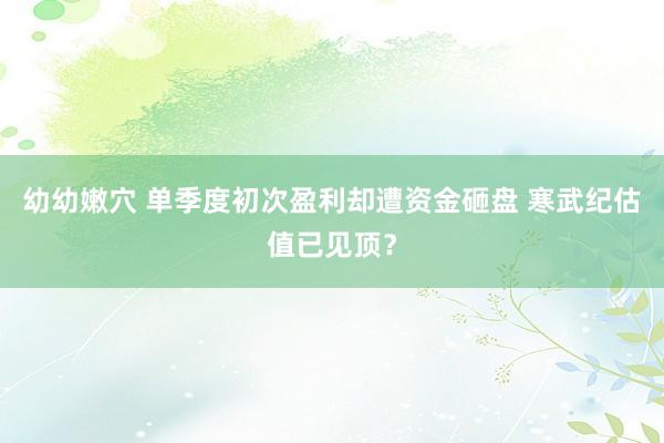 幼幼嫩穴 单季度初次盈利却遭资金砸盘 寒武纪估值已见顶？