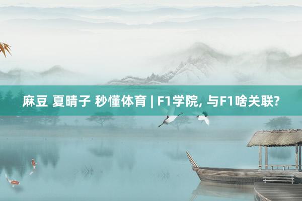 麻豆 夏晴子 秒懂体育 | F1学院， 与F1啥关联?